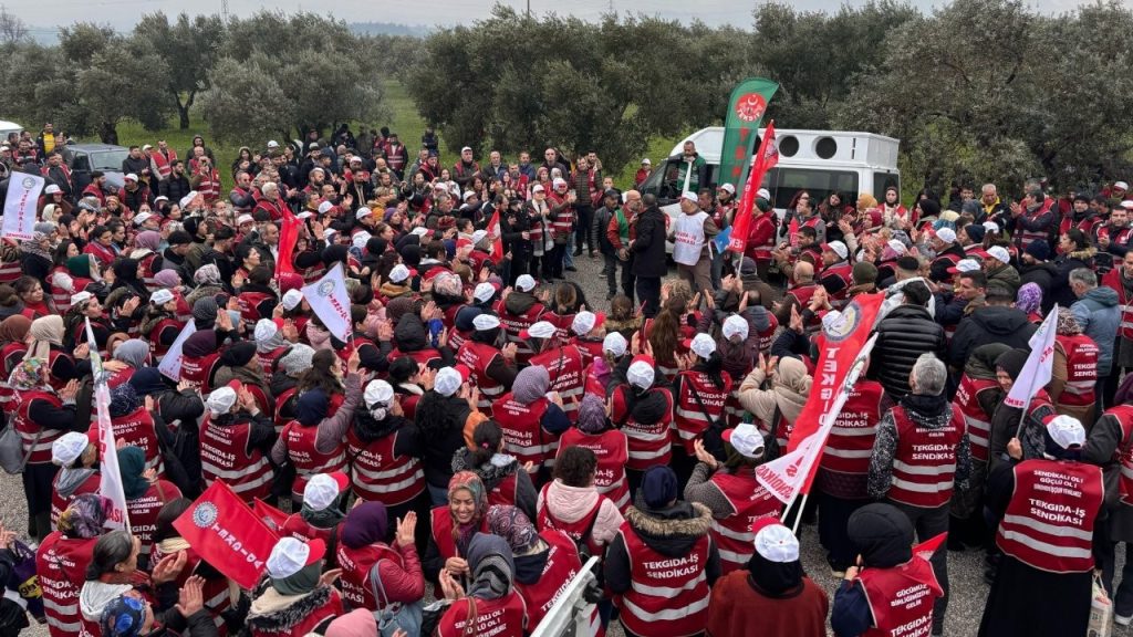 Tobacco Workers Strike in Western Turkey