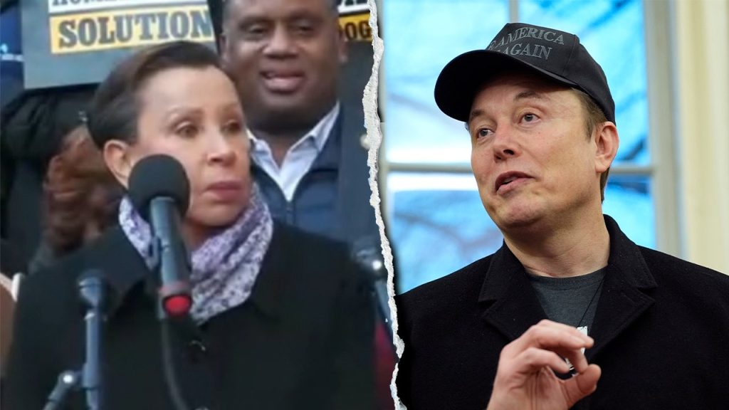 House Democrat Criticized for 'Unhinged' Rant Against Elon Musk