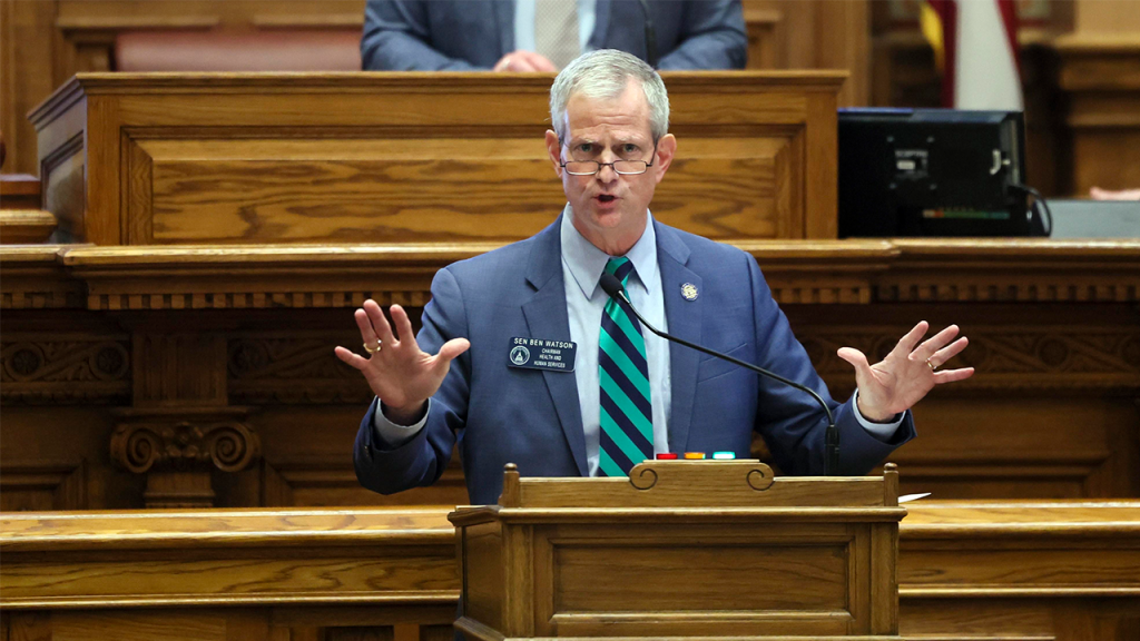Georgia Senate Advances Bills to Ban Gender-Transition Treatments for Minors and Inmates
