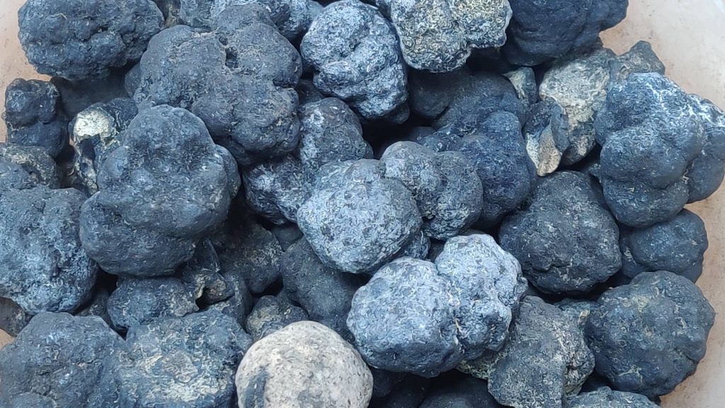 Trump Signs Executive Order to Accelerate Deep-Sea Mining Initiatives