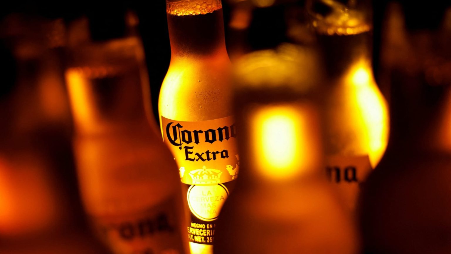 Beer Sales Decline Due to Trump Immigration Policy, Says Modelo Owner