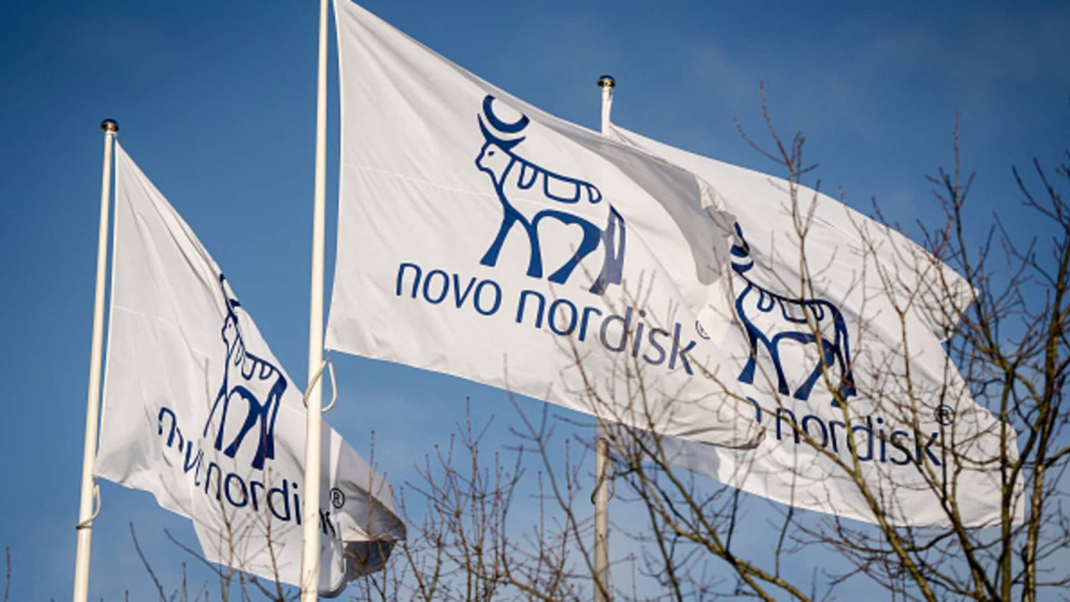 Novo Nordisk Legal Victory Limits Compounding of Wegovy and Ozempic Drugs Novo Nordisk Legal Victory Limits Compounding of Wegovy and Ozempic Drugs