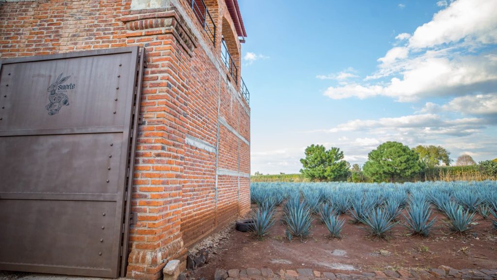 Tequila Maker Assures Prices Remain Unchanged Despite Tariffs