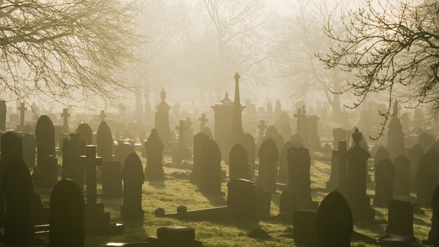 Why Inactive Investors Outperform Active Ones
