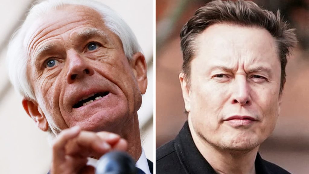 Navarro Refutes Tensions with Musk Following 'Moron' Remarks