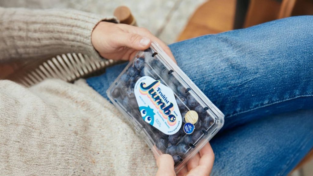 Berry Startup Achieves $1 Billion Valuation with Backing from Major Investor