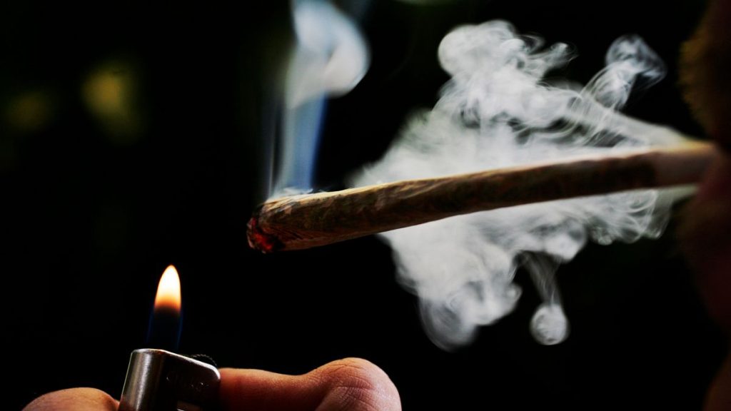 Dutch Cannabis Growers Support Expansion of Legal Sales Initiative