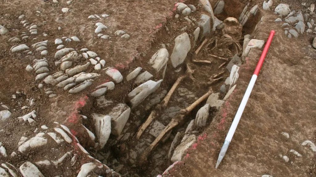 Medieval Cemetery Discovery Near Cardiff Airport Uncovers Secrets of Wealthy Women and Unusual Burials