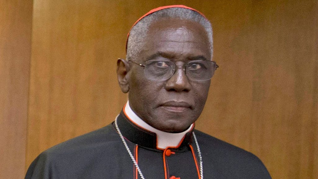 Pope Francis' Potential Successor: Key Quotes from Cardinal Robert Sarah
