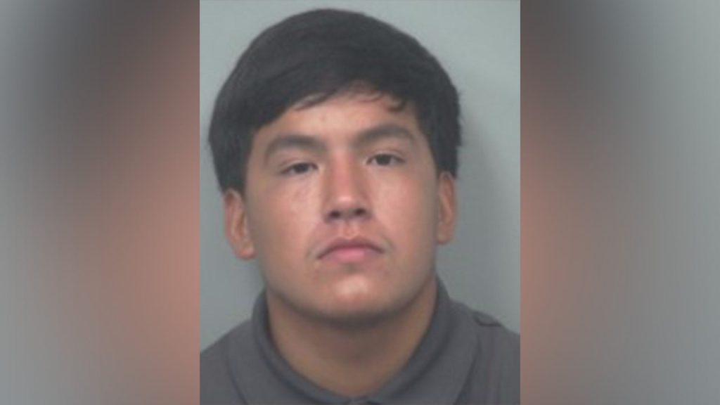 Georgia Man Released on Bond After Accused of Killing Pregnant Teen Girlfriend