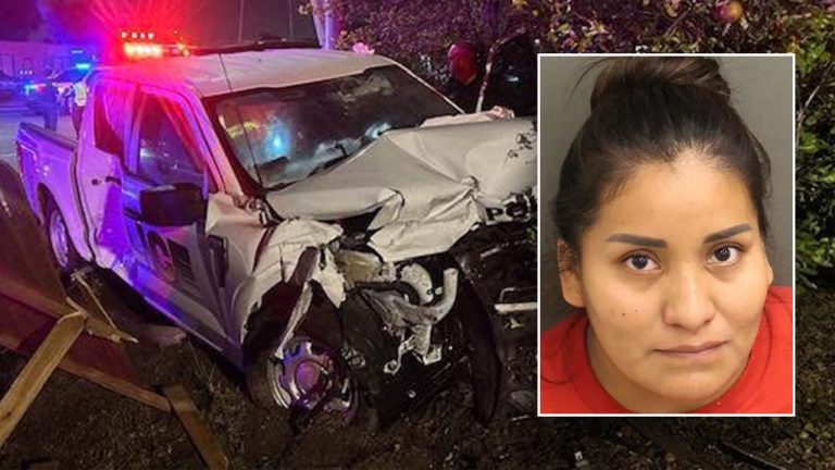 Florida Officer Injured in Collision with Illegal Immigrant Driving Patrol Car