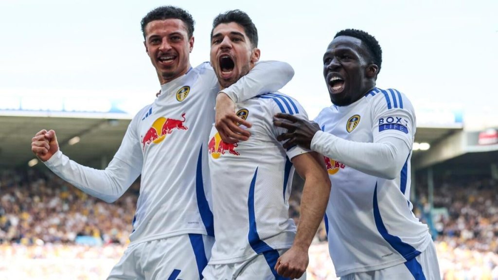 EFL Championship Update: Premier League Promotion Race and Relegation Battle Insights