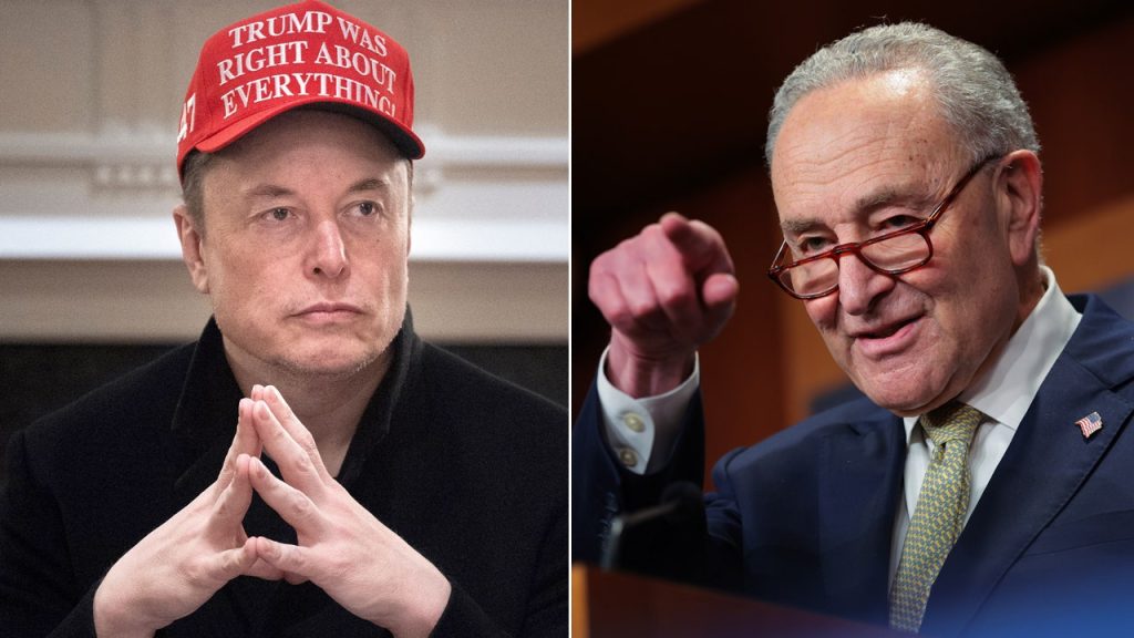 Musk Accuses Schumer of Profiting from Government Fraud