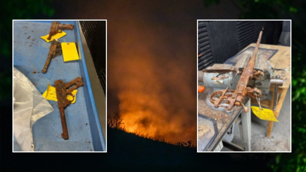LAPD Seeks to Reunite Gun Owners with Firearm Losses from Palisades Fire