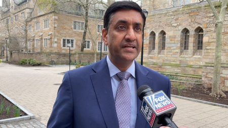 Democrat Challenges Party's Strategy on Trump Opposition