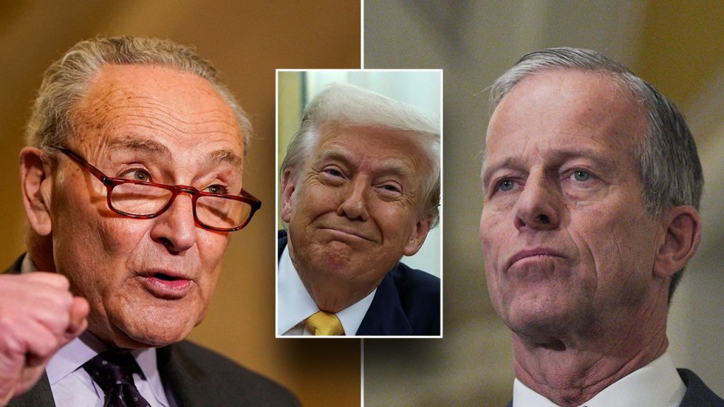 Senate Engages in All-Night Session Over Major Legislation