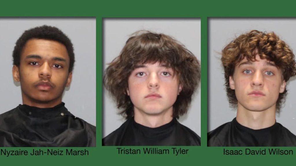 Three Young Men Arrested in Connection with Table Rock Fire in South Carolina