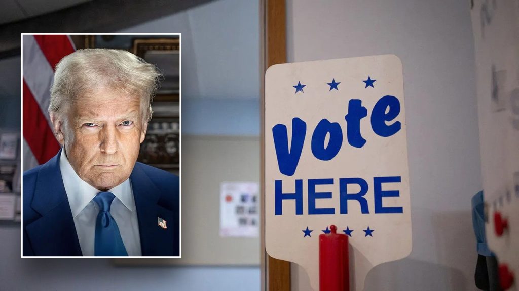 Judge Halts Trump's Directive Mandating Proof of Citizenship for Voter Registration