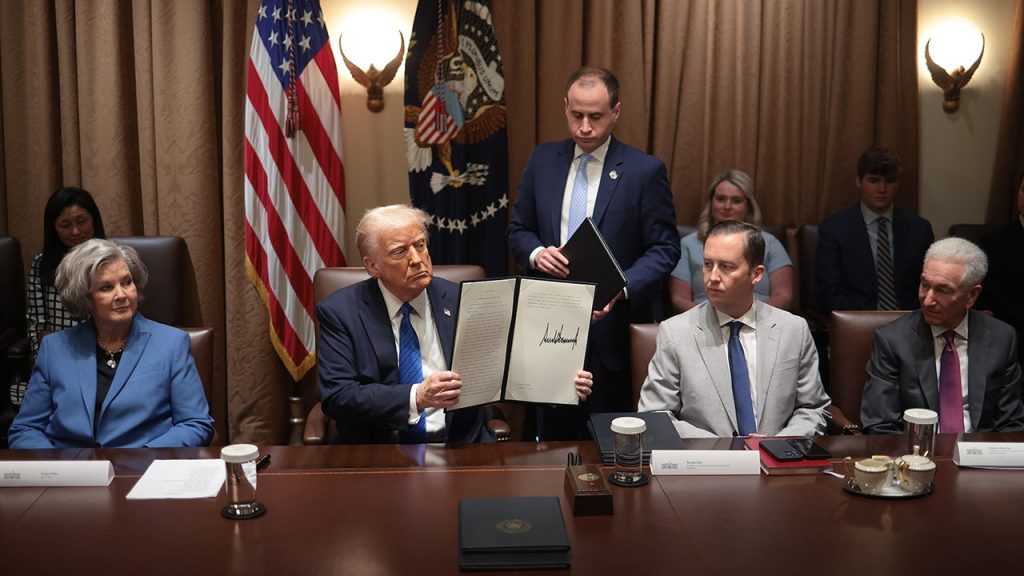 Lawsuits Filed Against Trump's Executive Order on Elections