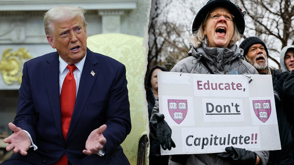 Report Reveals 383 Active DEI Programs at U.S. Colleges