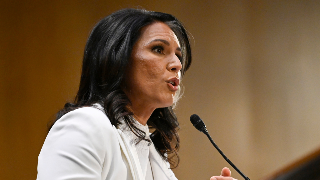 DNI Gabbard Recommends DOJ Prosecution for Intel Officials Over Classified Leaks