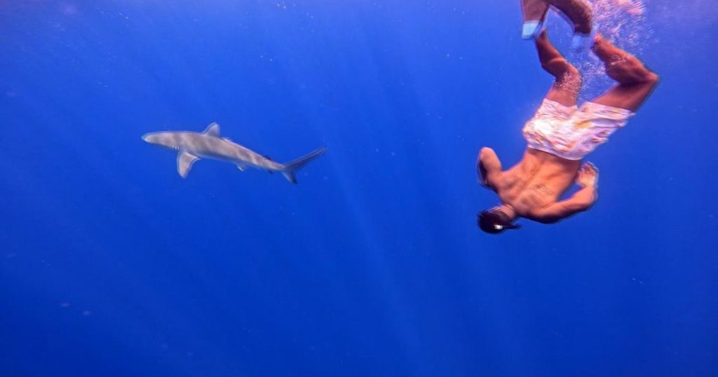 Nate Burleson Confronts Shark Fears in Cage-Free Dive