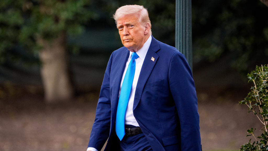 Trump Criticizes Court's Tariff Ruling as Political, Urges Supreme Court Review