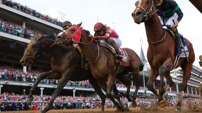 Horse Owners Explore Investment Opportunities to Earn Millions