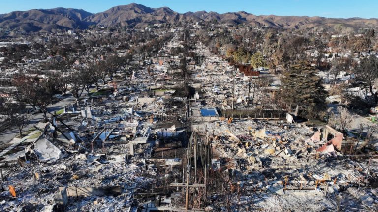 Wildfires in LA Lead to $1.9 Billion Loss for German Reinsurers in Q1