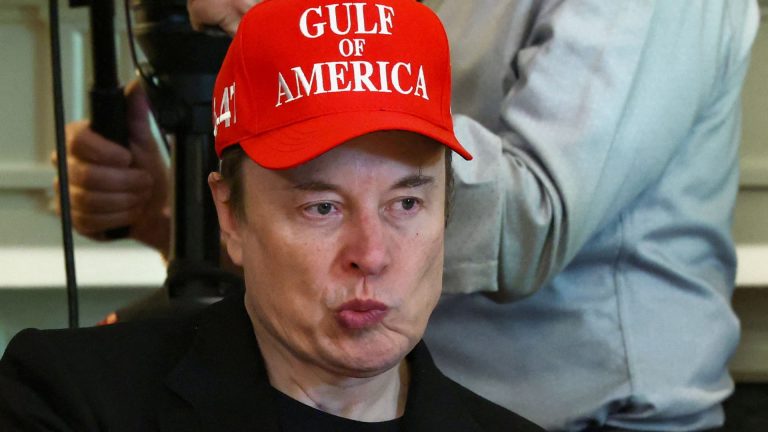Musk's Regulatory Challenges Easing Amid Trump's Second Term