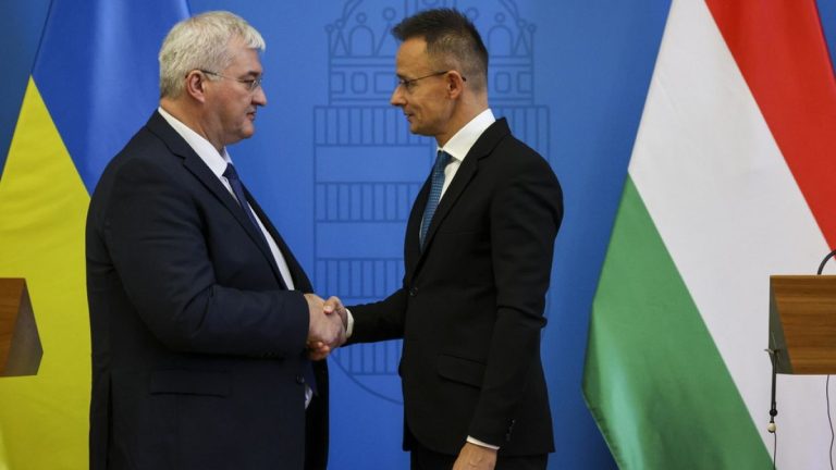 Hungary Halts Ukraine Minority Rights Discussions Amid Espionage Controversy