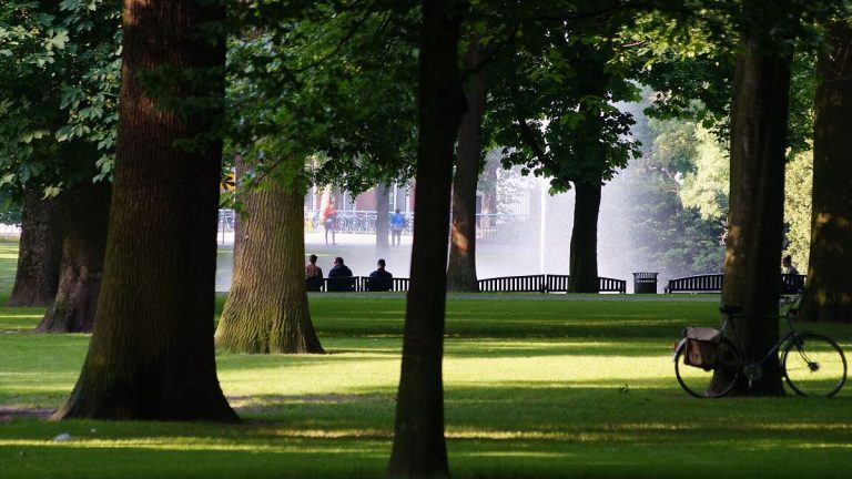 Breda Becomes EU’s First National Park City: Merging Urban Wildlife with Climate Resilience