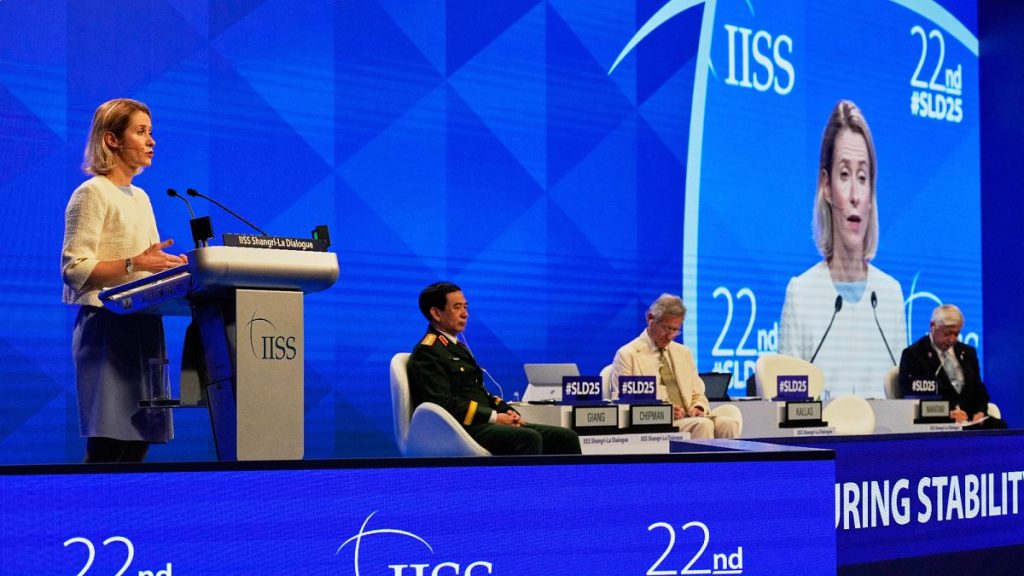 EU Official Cautions Global Concern Over Russia-China Relations