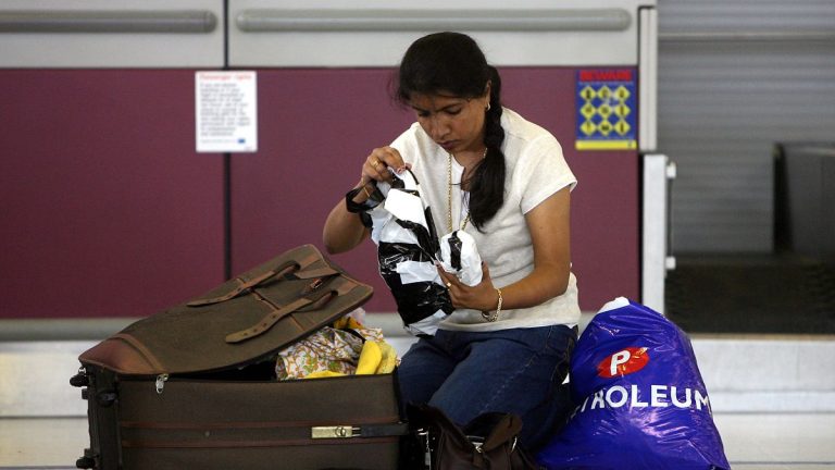 European Budget Airlines' Hand Luggage Fees Challenged by Consumer Groups for Violating EU Laws