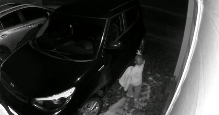 Three-Year-Old Boy Heroes During Great-Grandmother's Life-Threatening Fall