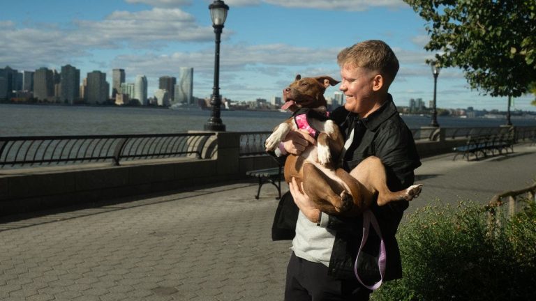 AI Technology Aids in Reuniting Lost Dogs with Owners