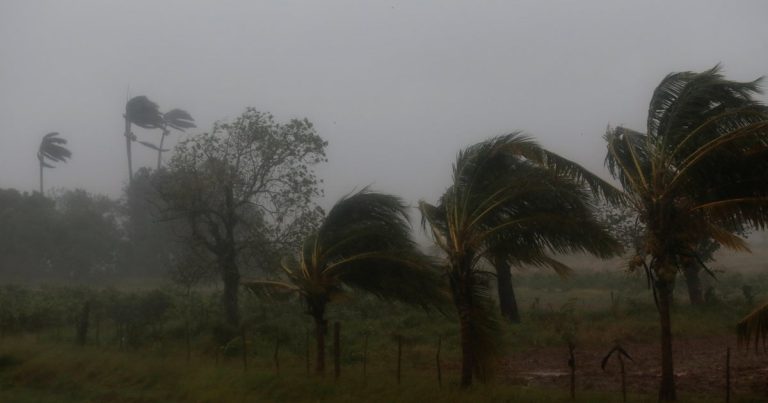 Scientists Predict Increased Heat Records and Intensified Storms Due to Climate Change in Next Five Years