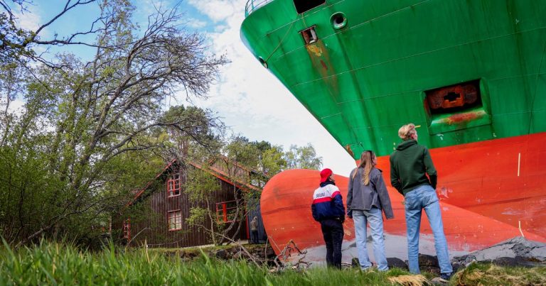 Homeowner Discovers 440-Foot Ship Grounded at His Doorstep