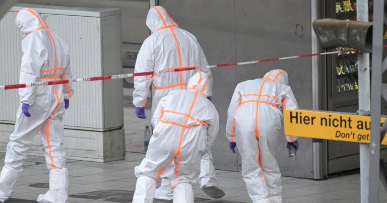 Stabbing at German Train Station Injures Multiple, Female Suspect Arrested