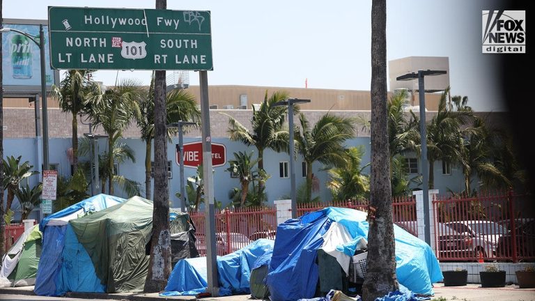 Business Owner Uses Repeated "Baby Shark" to Disturb Homeless Individuals in LA