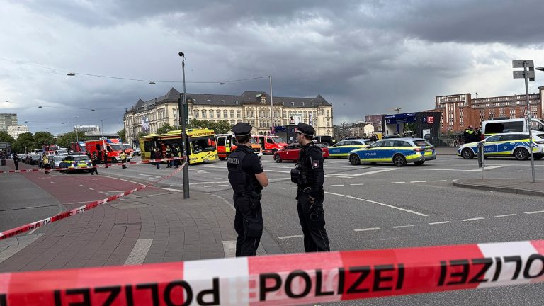 Stabbing Attack at Hamburg Central Station Leaves 12 Injured, 6 Critical