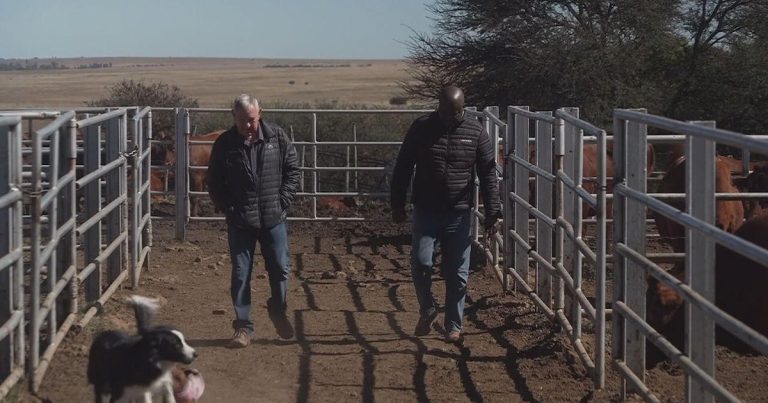 Afrikaners Dispute Claims of "White Genocide" in South Africa