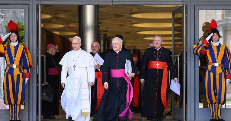Pope Leo XIV Shares Vision for Papacy, Commits to Continuing Francis' Legacy