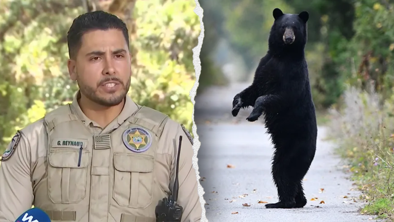 Florida Man and Dog Die in State's First Fatal Black Bear Attack