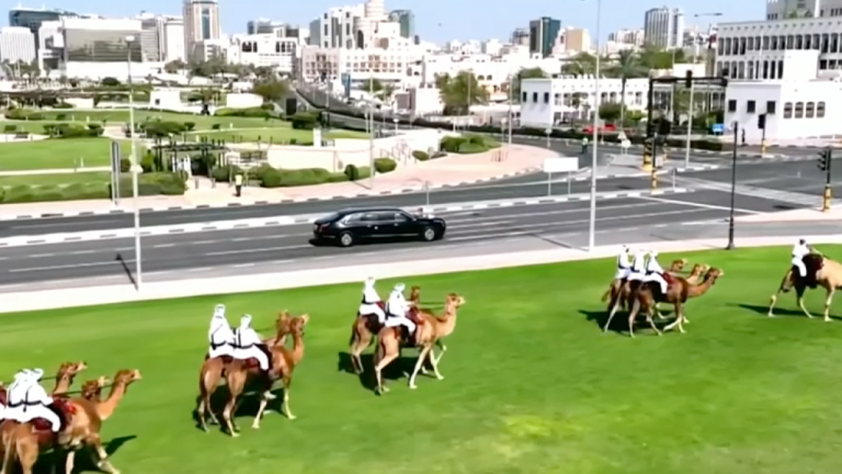 Trump's Motorcade Welcomed by Camels During Qatar Visit