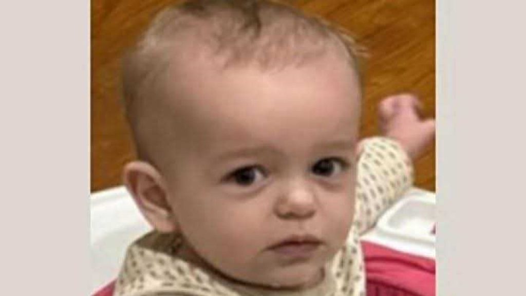 Remains of Missing Toddler Found in Burn Pile