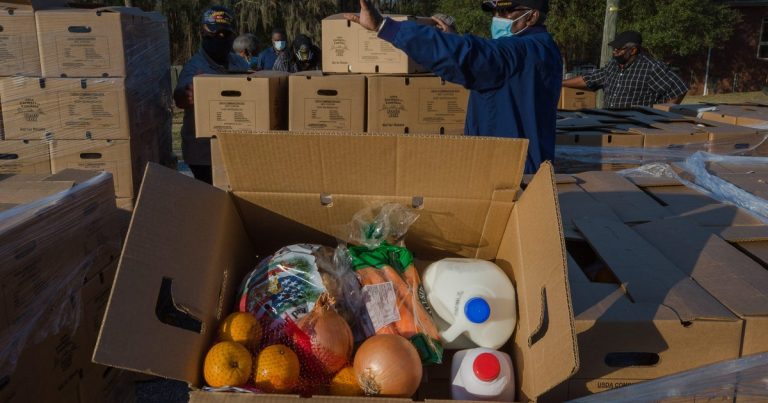 Trump Proposes Replacing Senior Grocery Aid with "MAHA Food Boxes"