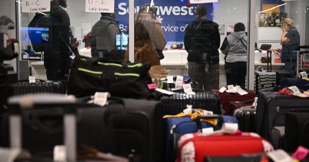 U.S. Airlines Profit from Increasing Checked Bag Fees Amid Policy Changes