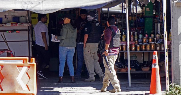 Gunmen Kill Seven, Including Children, in Central Mexico; Cartel Messages Found at Scene