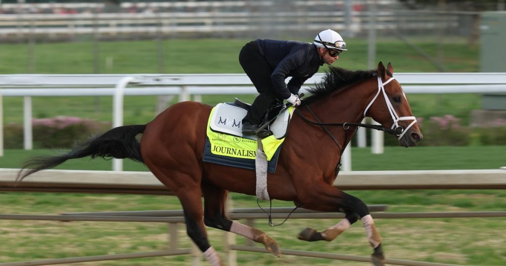 Kentucky Derby 2025: Meet the Competing Horses